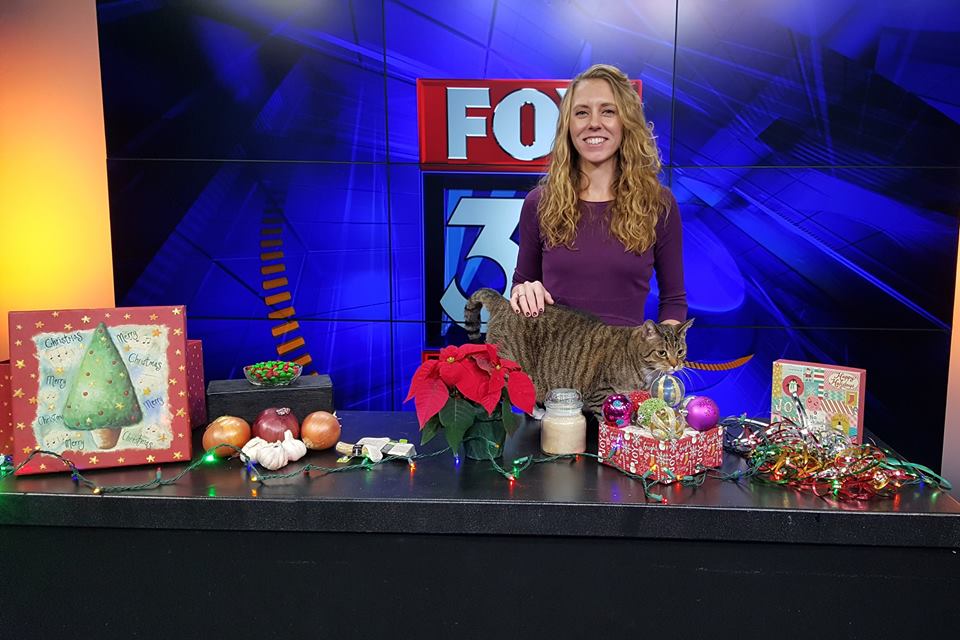 FOX Chicago Holiday Pet Hazards Veterinary Housecall Care