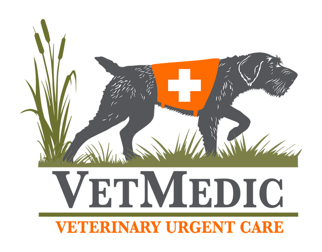 Veterinary Housecall Care InHouse Care for Your Pet