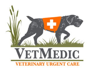 vet nurse home visit