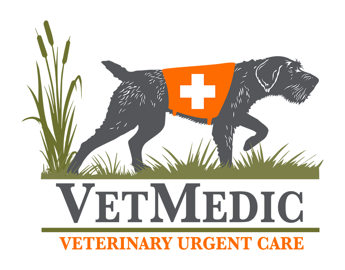 Veterinary Housecall Care InHouse Care for Your Pet